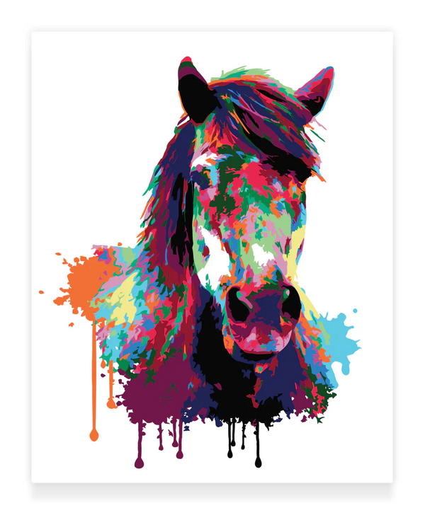 Premium Paint by Numbers Kit - Horse Abstract Style Splash Art