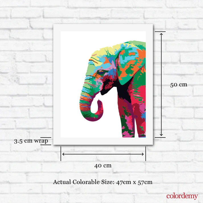 Paint by Numbers Kit: Colourful Elephant_4