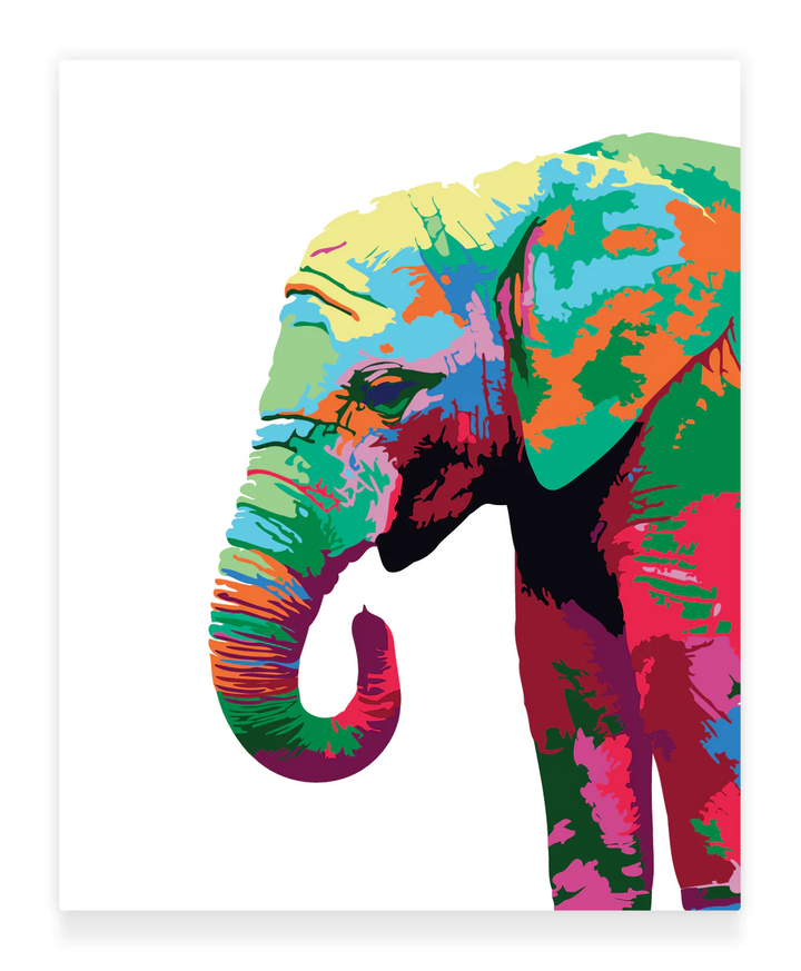 Paint by Numbers Kit: Colourful Elephant_1