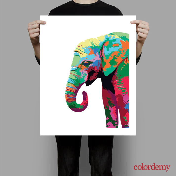 Paint by Numbers Kit: Colourful Elephant_2