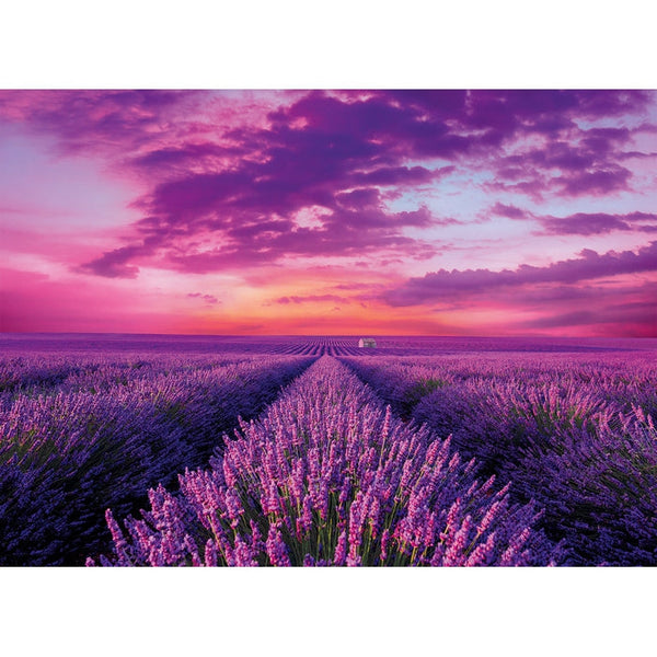 1000pc Lavender Field Puzzle