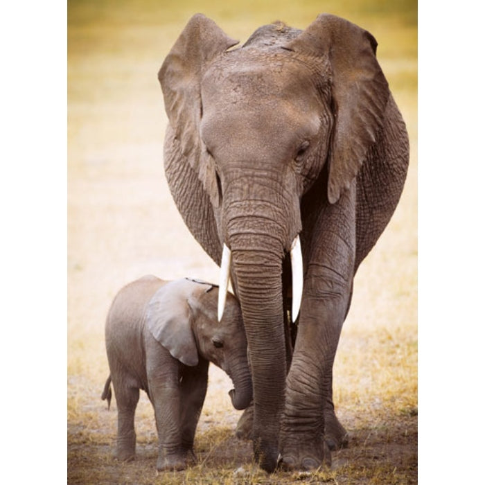 1000pc Elephant & Baby Puzzle