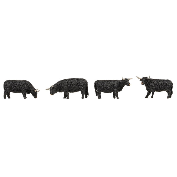 HO Highland Cattle Black