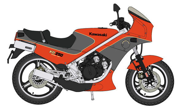 1/12  Kawasaki KR250 (KR250A) 'Red/Gray Color'