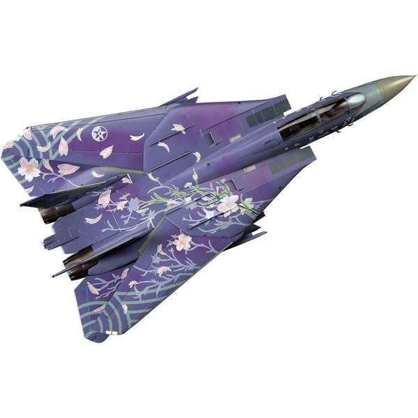 1/72 F-14D Tomcat ''Ace Combat Cherry Blossom''_1