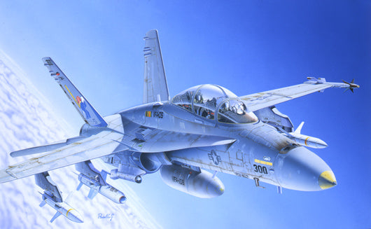 1/72 F/A-18C/D Wild Weasel_1