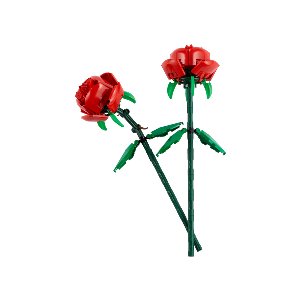 Roses_1