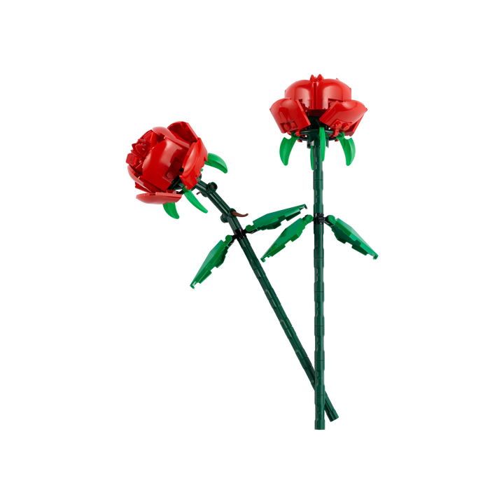 Roses_1