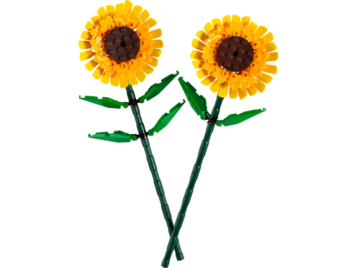 Sunflowers_1