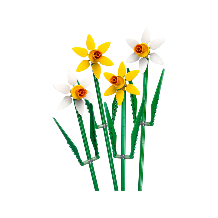 Daffodils_1