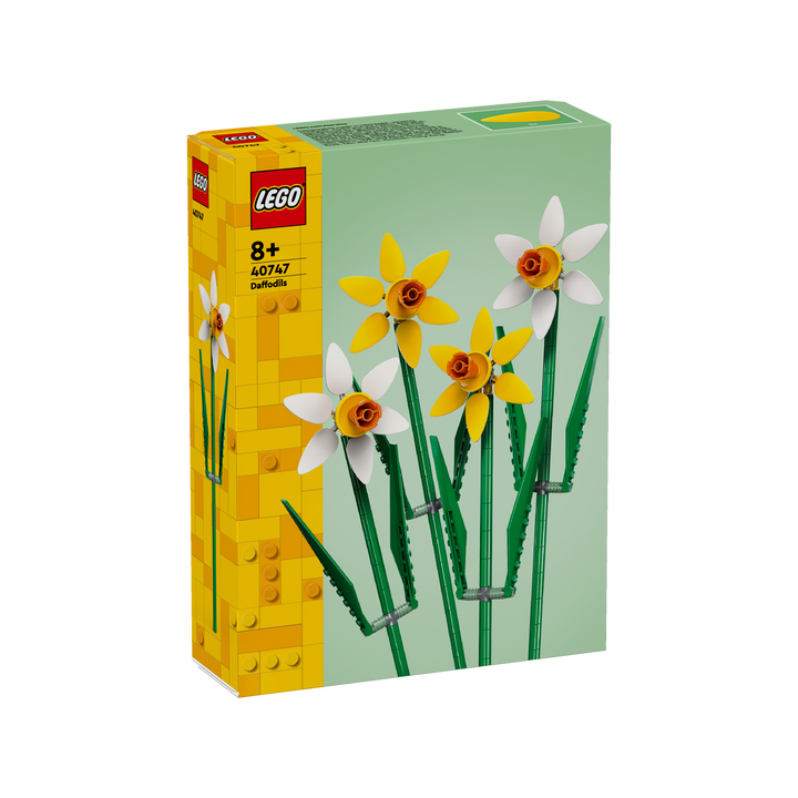 Daffodils_2