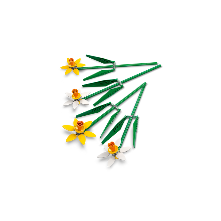 Daffodils_5