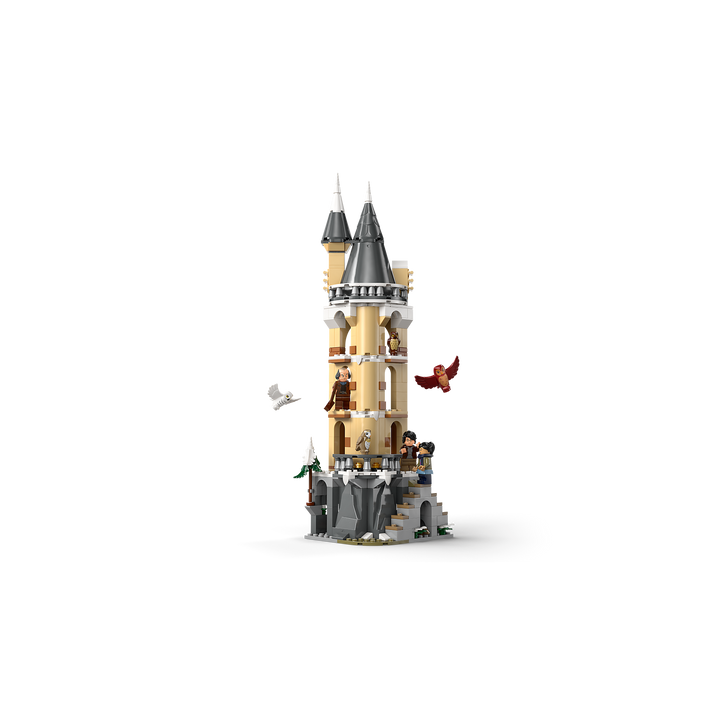 Hogwarts Castle Owlery_11