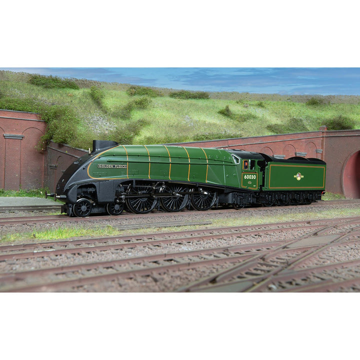 BR A4 CLASS 462 60030 GOLDEN FLEECE  ERA 5_7