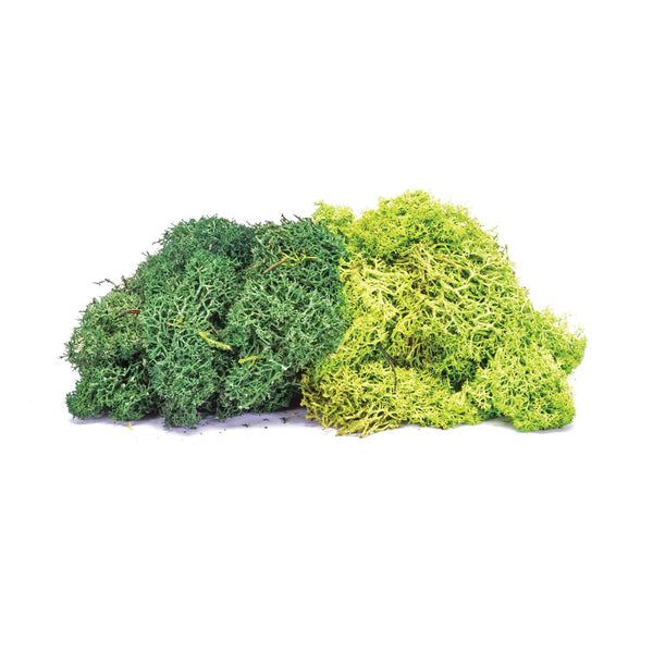 R7195 Hornby Lichen Large Green Mix