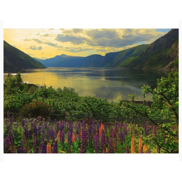 1000pc Fjord in Norway Puzzle