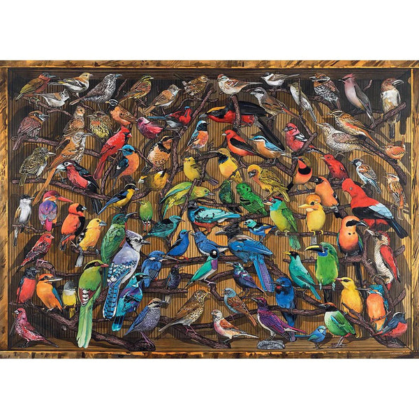 1000pc Rainbow of Birds Puzzle