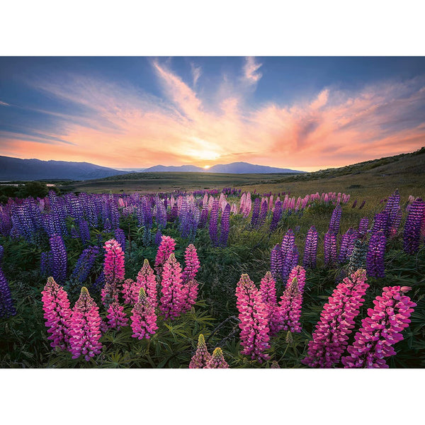 500pc Lupines Puzzle