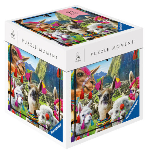 99pc Puzzle Moment Jigsaw Puzzle 1pc Assorted