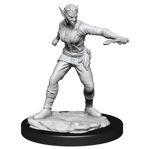 DandD Nolzurs Marvelous Unpainted Miniatures Shifter Female Rogue_3