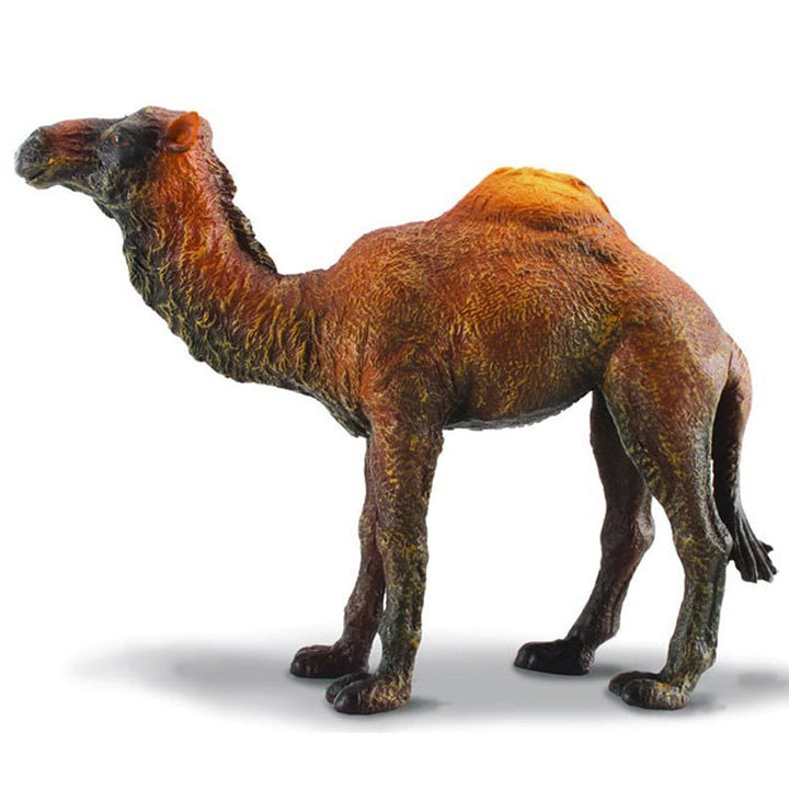 Collecta - Dromedary Camel (L)