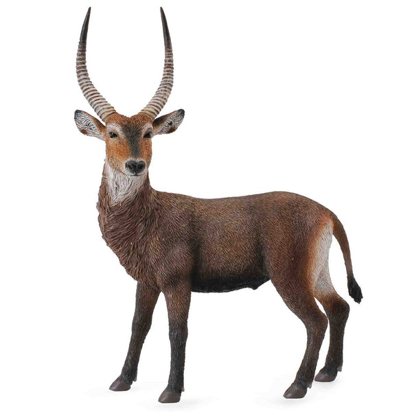 Collecta - Waterbuck