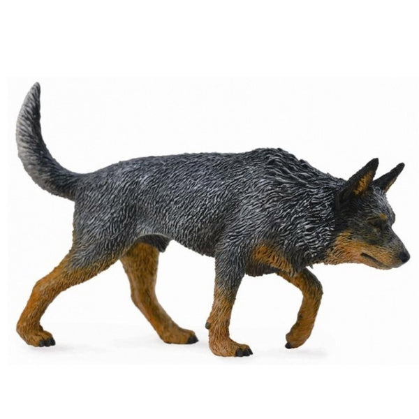 Australian Cattle Dog L