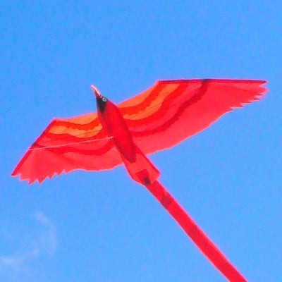 Summerbird Kite