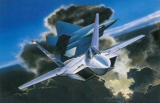 2508 1/72 YF22 Lightning II Plastic Model Kit