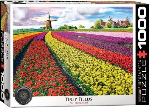 1000pc Tulip Fields Netherlands