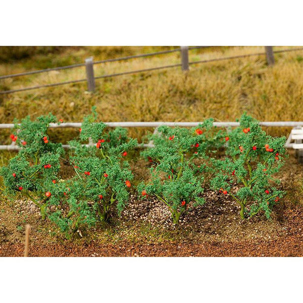 Faller - 18 Tomato plants