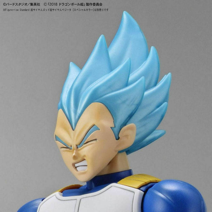 Bandai - Figure-rise Standard SUPER SAIYAN BROLY FULL POWER