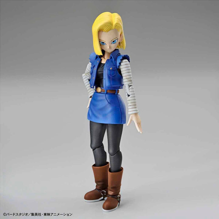 Bandai - Figure-rise Standard Android #18(PKG renewal)