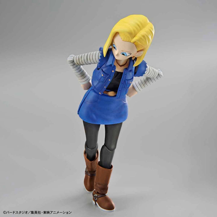 Bandai - Figure-rise Standard Android #18(PKG renewal)