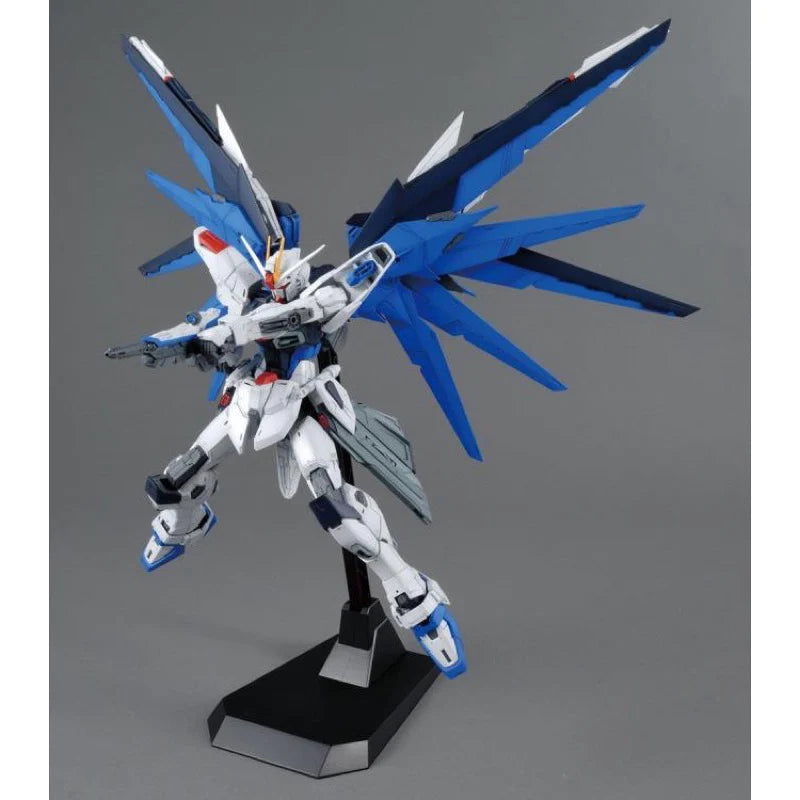 MG 1/100 FREEDOM GUNDAM Ver.2.0_10