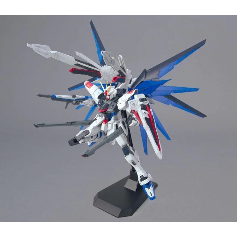 MG 1/100 FREEDOM GUNDAM Ver.2.0_7