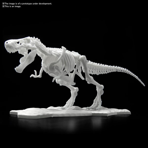 DINOSAUR MODEL KIT LIMEX SKELETON Tyrannosaurus