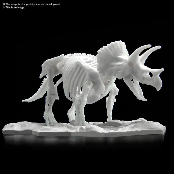 DINOSAUR MODEL KIT LIMEX SKELETON Triceratops