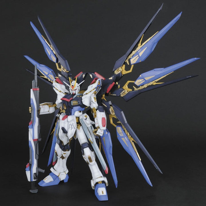 PG 1/60 STRIKE FREEDOM GUNDAM-1