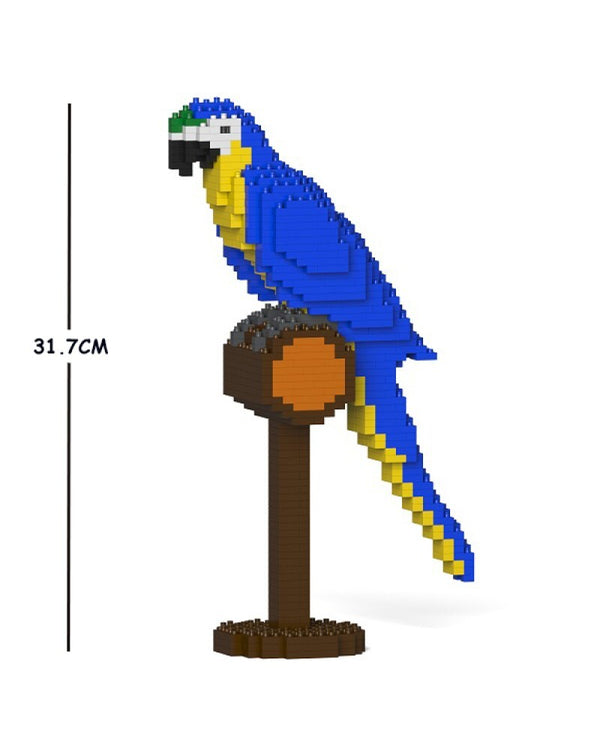 Blue and Gold Macaw 1