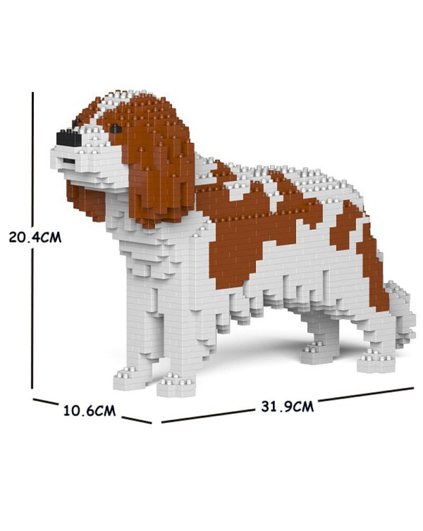 Cavalier King Charles Spaniel White/Brown