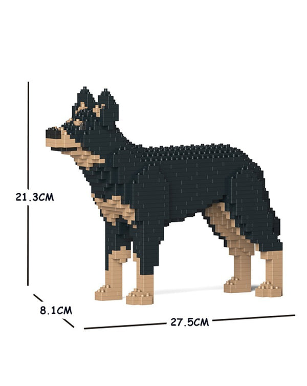 Australian Kelpie