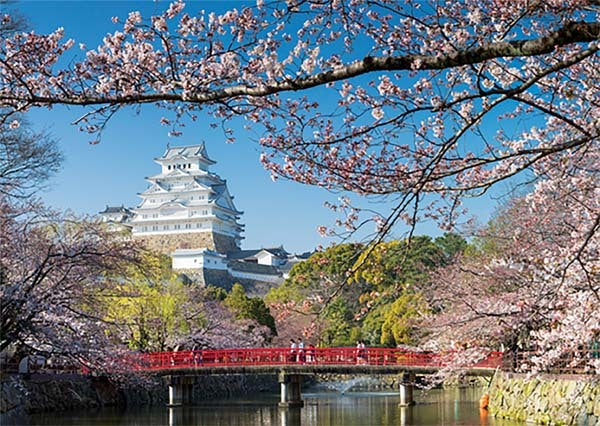 Jumbo - 500pc Himeji Castle, Japan