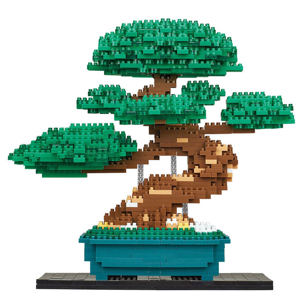 Deluxe Bonsai Matsu