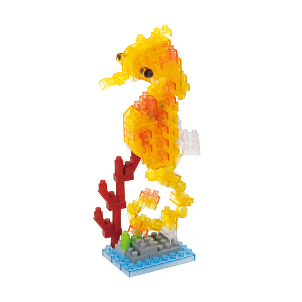 NBC_353 Seahorse