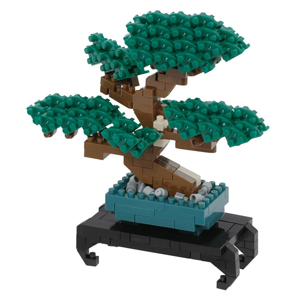 Bonsai Pine