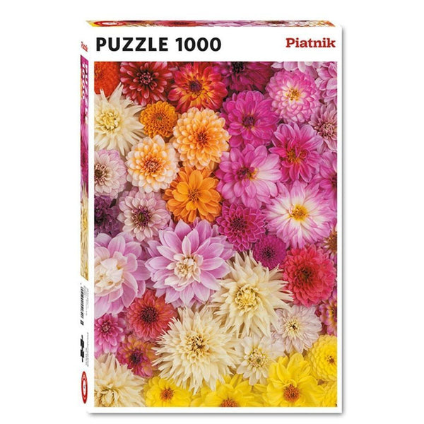 1000pc Dahlias