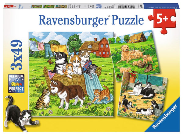 3x49pc Cats and Dogs Puzzle