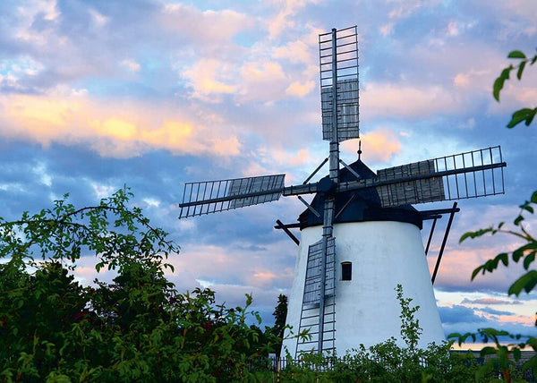 1000pc Windmill near Retz Puzzle