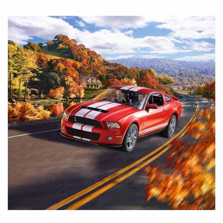 Revell - 1/25 2010 Ford Shelby GT500 Model  Set